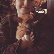 Lezioni di Matematica in presenza per le superiori